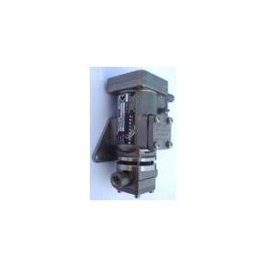 VF266 Flameproof Vacuum Switch